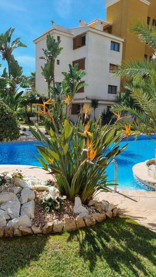 Punta Prima Nice Apartment With Sea Views Torrevieja Bagian luar foto